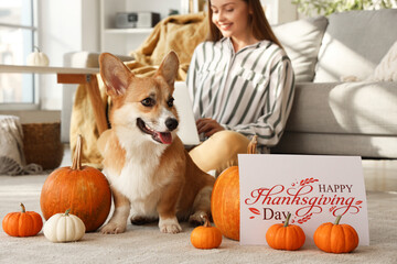 Poster - Corgi dog with pumpkins and greeting card for Thanksgiving Day at home