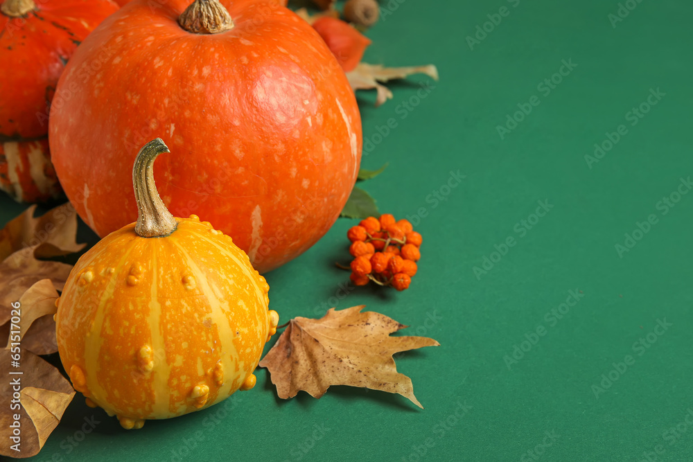 Composition with ripe pumpkins and autumn leaves on green background, closeup
