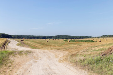 Wall Mural - Rural road for cars and transport