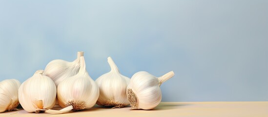 Canvas Print - Garlic and cloves against isolated pastel background Copy space