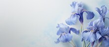 Iris Flower With Blue Petals Against A Isolated Pastel Background Copy Space