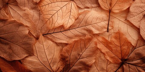 Wall Mural - Close-up autumn dry leaf textured wallpaper.