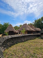 Wall Mural - A group of houses with thatched roofs