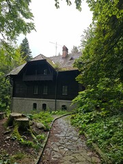 Wall Mural - A house with a stone path