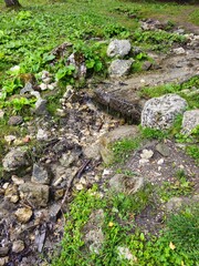 Wall Mural - A stream running through a grassy area