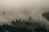 Fototapeta Na ścianę - misty landscape in the mountains at a rainy autumn day
