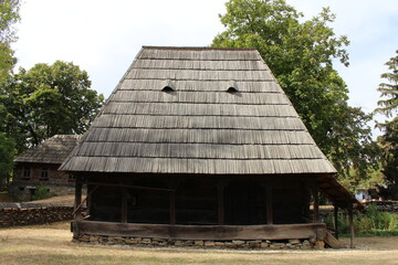 Wall Mural - A wooden building with a metal roof