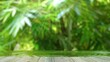 empty wooden jetty over flowing water in front of green blurred bamboo plants with sunlight bokeh, nature spa background for wellness or vacation with product display 