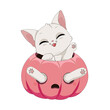 Zabawny kot bawiący się w wydrążonej różowej dyni. Ilustracja na Halloween. Cukierek albo psikus! Uroczy ręcznie rysowany mały kotek. Ilustracja wektorowa.
