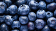 Natural background of fresh ripe blueberries with drops of water. Full frame. A quality product. Healthy eating. Close-up.