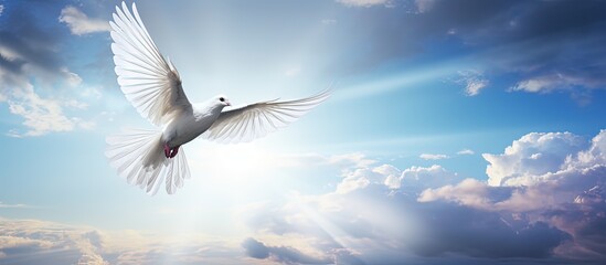 Sticker - Dove symbolizing love and peace in sunny rainbow sky