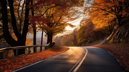 A picturesque autumn tableau stretches before you, as the sun casts its warm embrace over the landscape. A winding road meanders through a forest adorned with trees dressed in hues