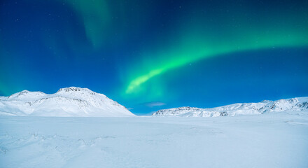 Wall Mural - aurora borealis. northern lights and clear skies. nature. scandinavian countries. snow and ice on th
