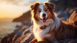 Australian Shepherd dog.Australian Shepherd dog portrait close up. Horizontal banner poster background. Copy space. Photo texture AI generated