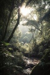 Canvas Print - xiao'xi in the dense forest