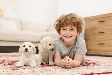 Wall Mural - Little boy with cute puppies on carpet at home