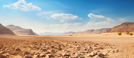 Canvas Print - Hiking in the dry hot Israeli desert with a mountain to climb and a sunny day