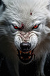 © Sasint - An angry snow-white and clean wolf looking at the camera