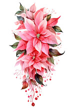 Beautiful Lush Christmas Pink Poinsettia Garland On White Background, Detailed Watercolor Illustration