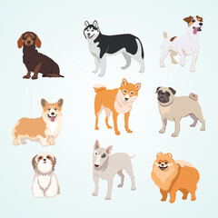 Wall Mural - set of dogs animal cute