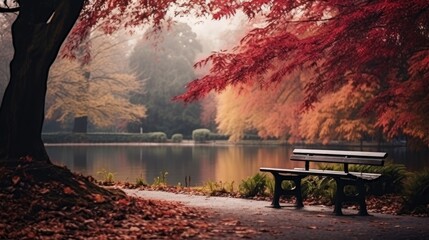 Canvas Print - Colorful Autumn Park with Moody Atmosphere