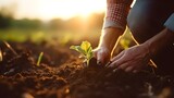 Fototapeta  - Male hands touching soil on the field. Expert hand of farmer checking soil health before growth a seed of vegetable or plant seedling. Business or ecology concept.