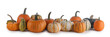 Harvested pumpkins isolated on white background