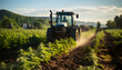 Agricultural tractor on field of cultivated cannabis, farming medical marijuana in countryside.