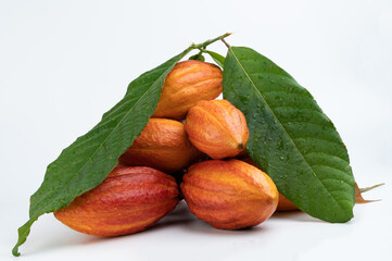 Wall Mural - Background of cacao pods covered with leafs