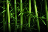 Fototapeta Sypialnia - green bamboo plant background