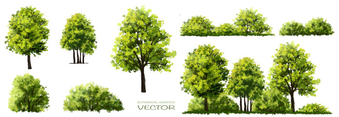 Wall Mural - vector of green grass or shrub isolated on white background,tree elevation for landscape concept,env