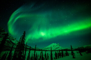 the aurora borealis or northern lights over the mountains of the central brooks range, alaska, usa.
