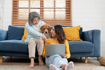 Asian young female and senior woman playing with their beagle dog in the living room at cozy home. Pet and cute animal concept.