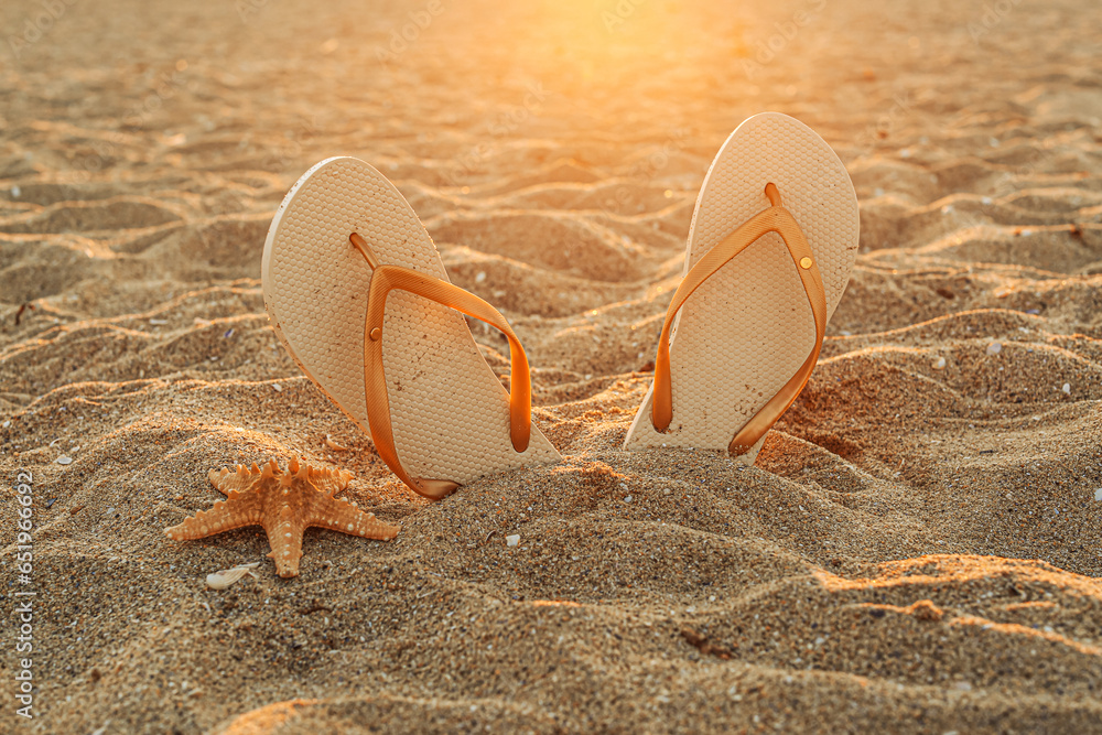 Stylish female flip flops and starfish on sand