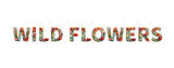 Fototapeta Londyn - Wild Flowers text illustration with bunches of poppies, on white background. Banner Header image.
