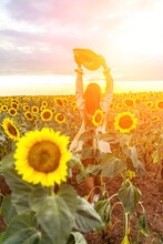 Woman Sunflower Field. Happy Girl In Blue Dress And Straw Hat Posing In A Vast Field Of Sunflowers At Sunset. Summer Time.