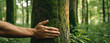 © Anastasiia - Hand Hugging The Broad Trunk Of Tree With Green Vegetation In The Woods Panoramic Banner