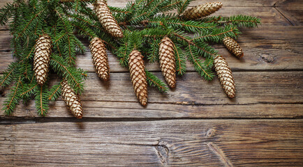 Wall Mural - fir branches with cones on brown wooden background