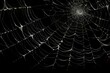 © Kishore Newton - A chilling artificial spider web stretches over a deep black backdrop, setting a spine-tingling Halloween mood.