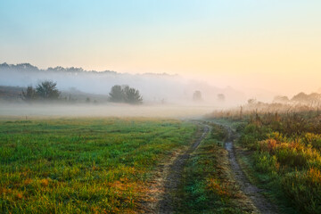 Picturesque landscape with a dirt road in the countryside. Fog over a meadow with grass and trees. Nature of the forest-steppe in the morning in summer