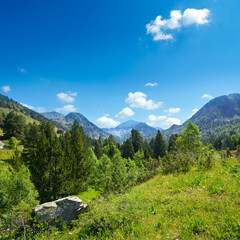 Wall Mural - Mountain landscape with green grass and flowers. Andorra,