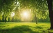 © FrameFinesse - Beautiful spring background. Natural park landscape with a green lawn and trees