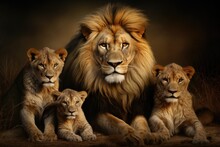 Illustration Of A Family Photo Shoot Lviv Big Lion And Three Small Lions