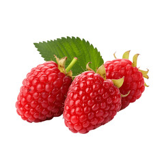 Canvas Print - Raspberry trio, a burst of flavor and color, isolated on white background