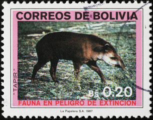 Wall Mural - Tapir on vintage bolivian stamp