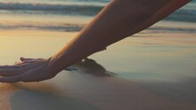 Women's Hands Draw A Heart On The Sand. Love And Relationships. Walk On The Beach At Sunset.