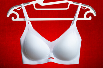 Wall Mural - light blue bra hanging on red background