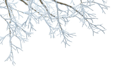 Wall Mural - Branches covered with snow background