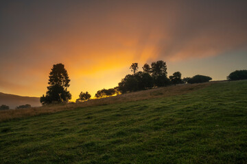 Wall Mural - beautiful, multicoloured, misty sunrise over a mountain meadow
