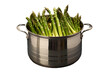 Asparagus steamer pot. isolated object, transparent background

